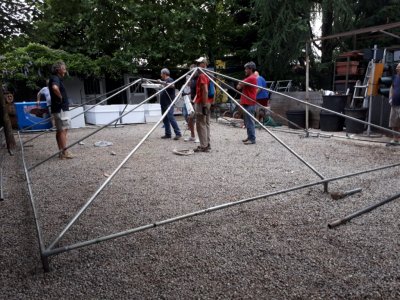 Amici del Viale Bagatti