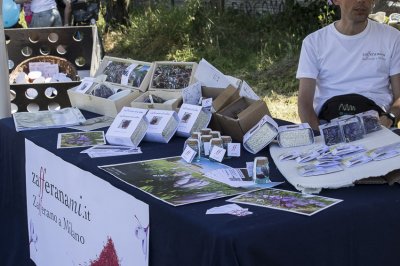 Le Bancarelle