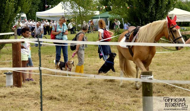 Le foto della festa 2015