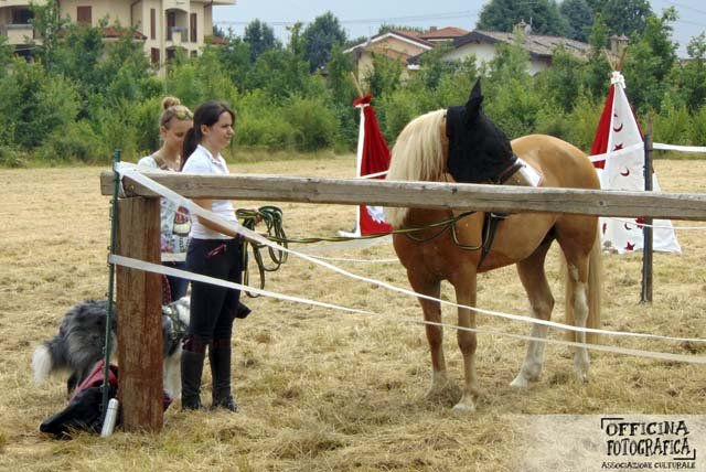 Le foto della festa 2015
