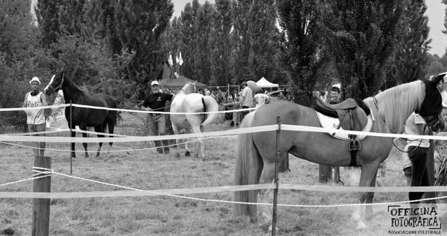 Le foto della festa 2015